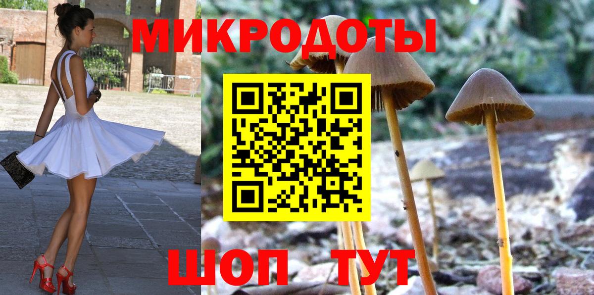 Галлюциногенные грибы прущие грибы  Псилоцибиновые грибы Psilocybine cubensis  Вход с VPN  Ивантеевка 