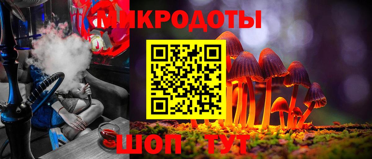 Галлюциногенные грибы Psilocybine cubensis Ивантеевка